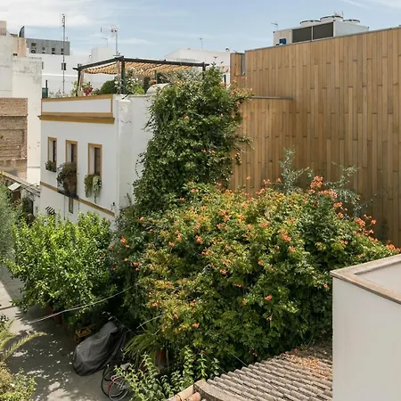 La Casa Del Alfarero Seville